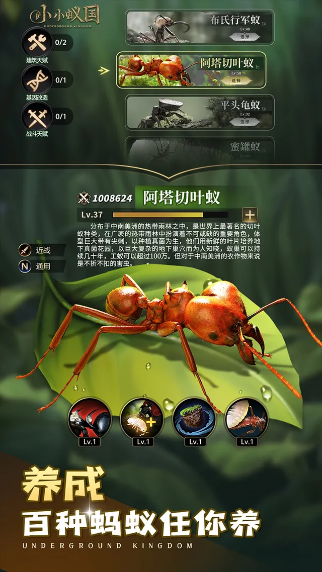 小小蚁国（无垠荒野） 宣传图 1
