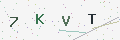 验证码